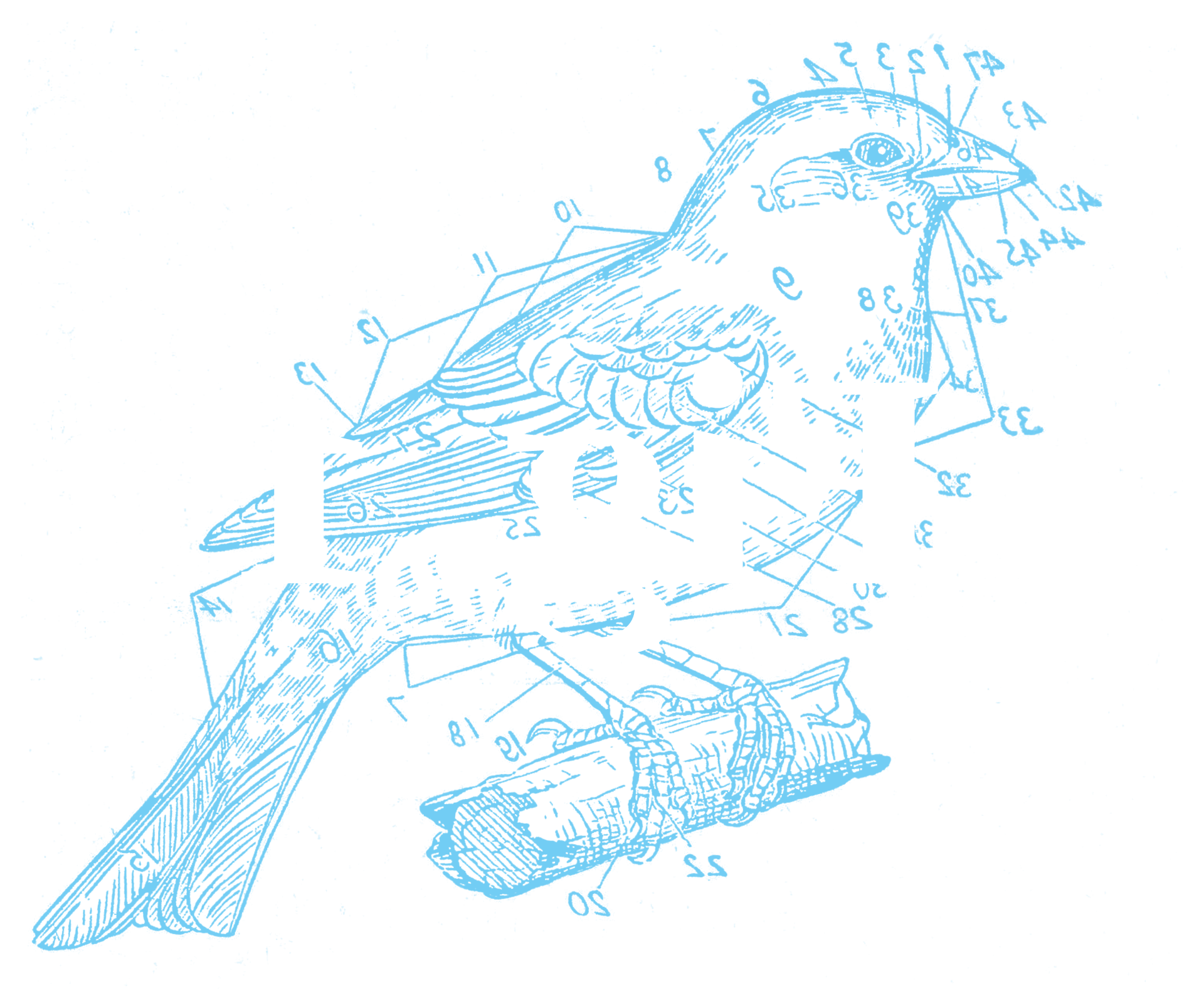fig-1 logo