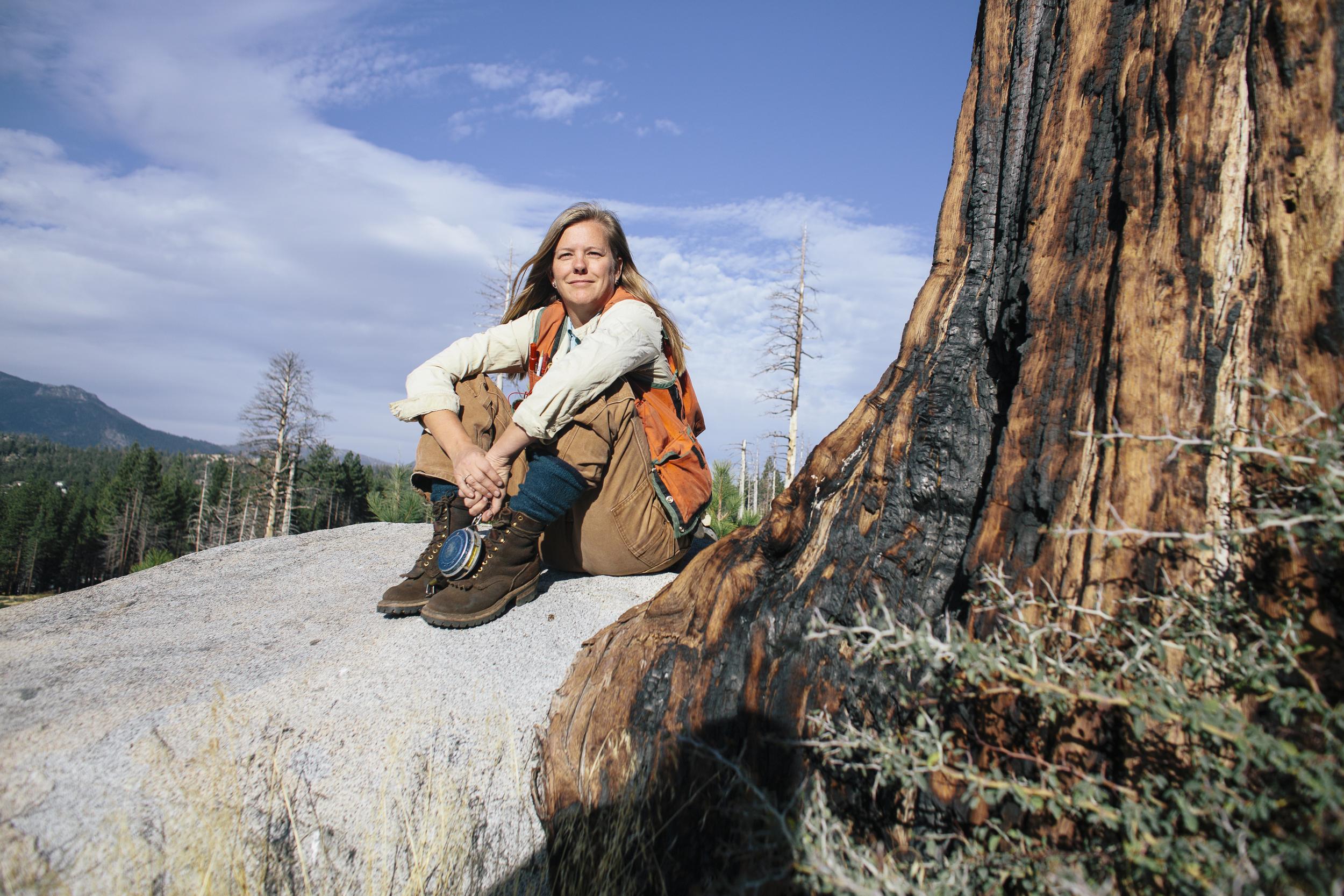 苏茜·科赫坐在南太浩湖安哥拉烧伤区(2007年被烧毁)一棵树旁的一块岩石上