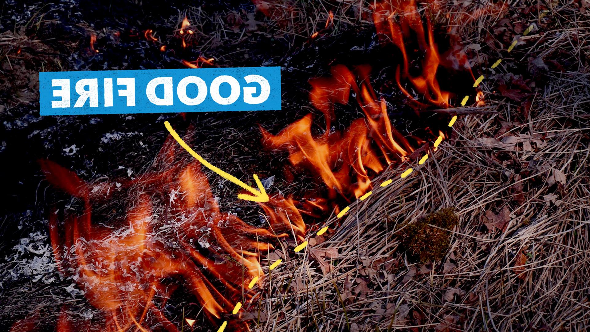 一张火的特写照片，上面写着“好火”和一个指向它的箭头