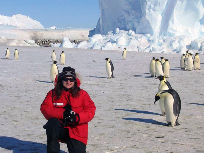 梅尔在南极洲的一群企鹅面前
