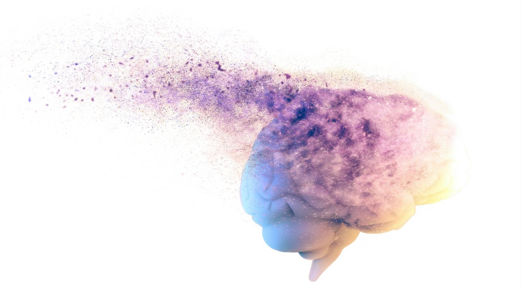 一幅紫色大脑解体的图像