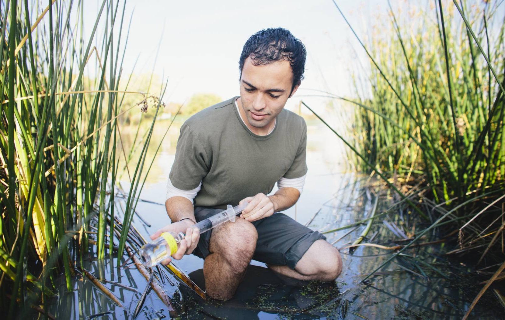 Student researcher testing water while squatting in water surrounded by tall grass.