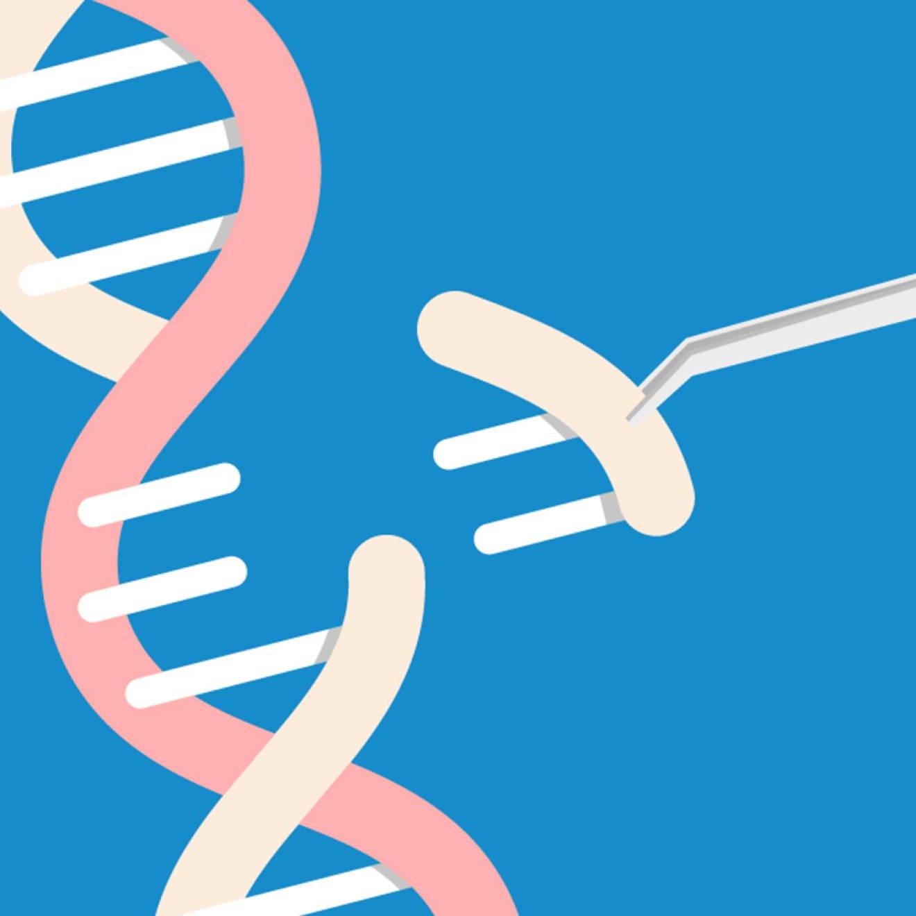 一段DNA代码从螺旋上移除的示意图